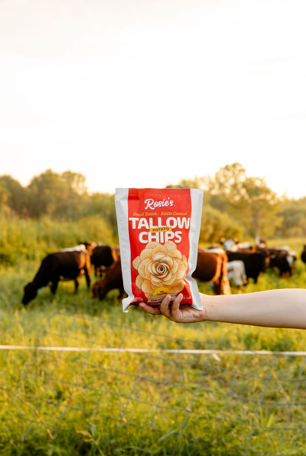 Rosie's Chips [2-Pack]