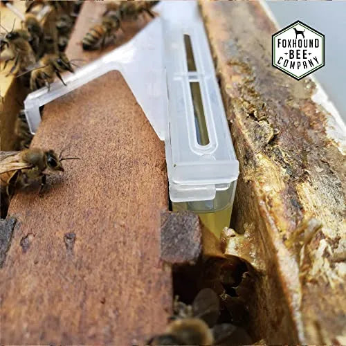 Small Hive Beetle Baitable Trap, image 7 of 12