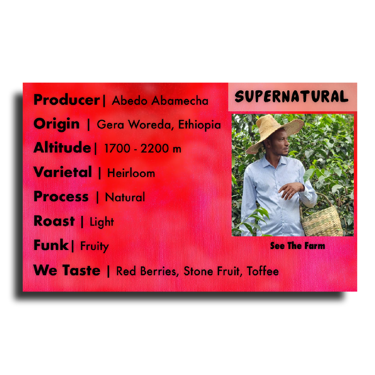 Supernatural, image 5 of 7