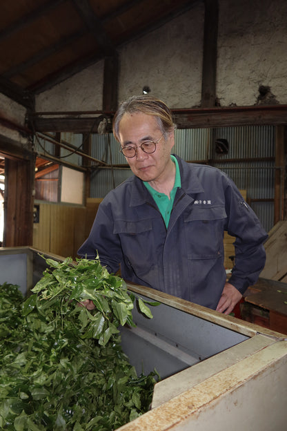 Samidori Single Cultivar Matcha, Tea from isshiki matcha