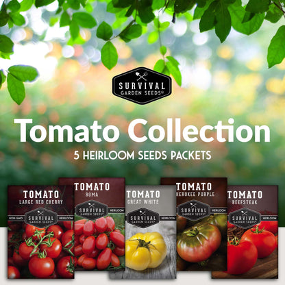5 Tomato Collection -  Cherokee Purple, Roma, Large Red Cherry, Great White, & Beefsteak