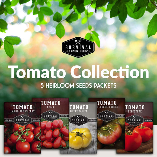 5 Tomato Collection -  Cherokee Purple, Roma, Large Red Cherry, Great White, & Beefsteak