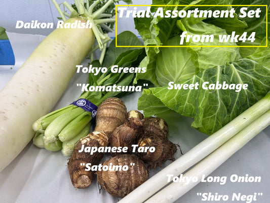 Trial Set Box | Suzuki Farm | 5 items