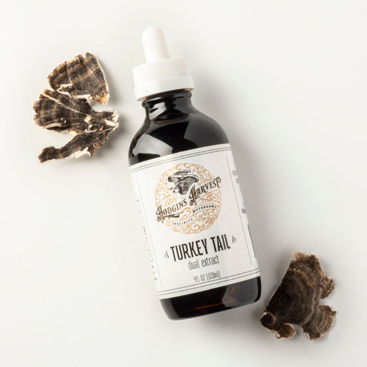 Turkey Tail Dual Extract Tincture by Hodgins Harvest
