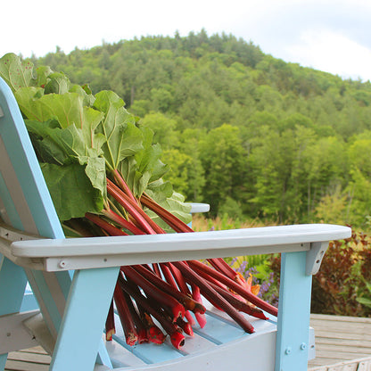 Strawberry Rhubarb Preserve