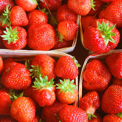 Strawberry Rhubarb Preserve 10.8oz