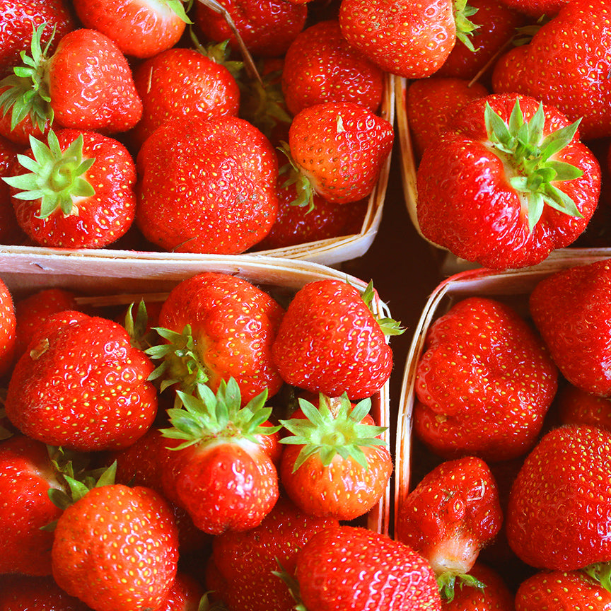 Strawberry with Wild Rose, image 4 of 11