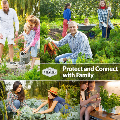 Medicinal Herb Garden - 36 Heirloom Seed Varieties for a Wellness Garden