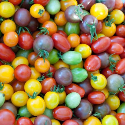 Cherry-licious Mix Tomatoes