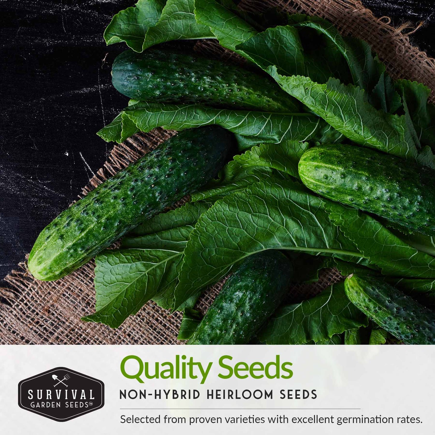 Vegetable Garden Collection - 15 Packs of Vegetable Seeds