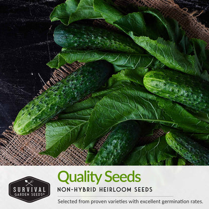 Vegetable Garden Collection - 15 Packs of Vegetable Seeds
