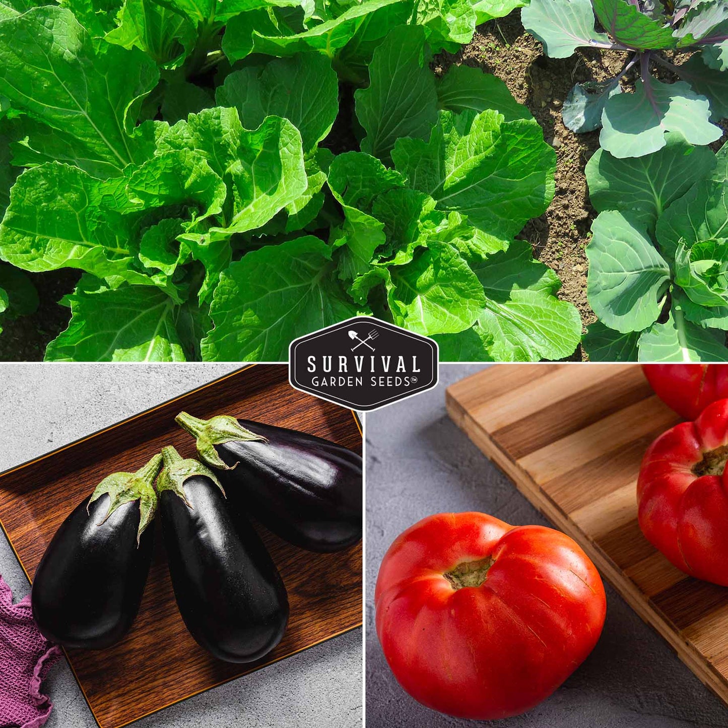 Vegetable Garden Collection - 15 Packs of Vegetable Seeds