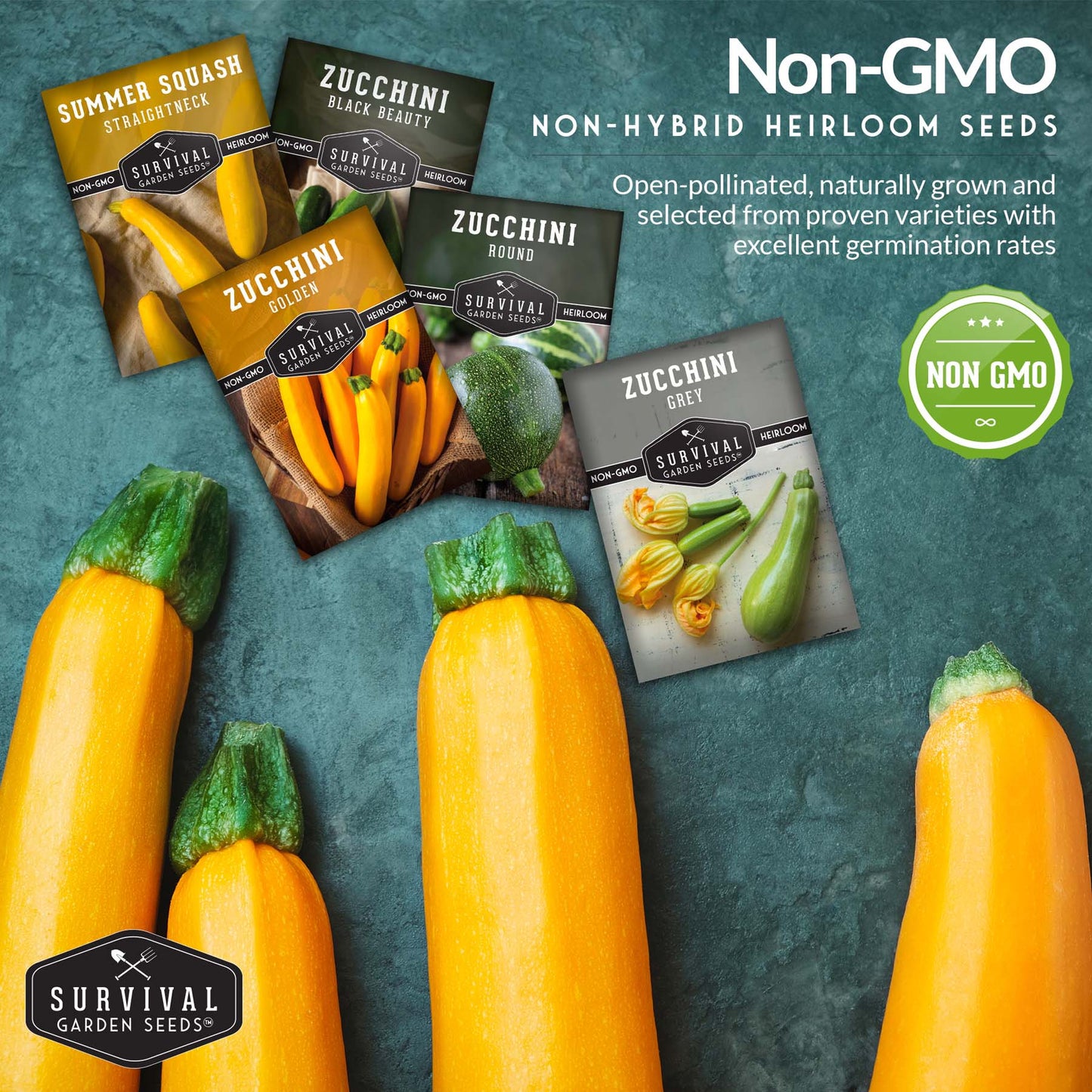 Zucchini & Squash Collection - Golden, Round, Black Beauty, Straight Neck Summer Squash