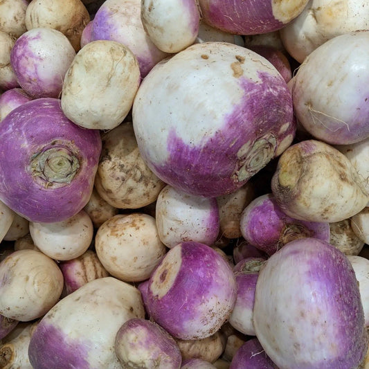 Rutabaga Seeds - American Purple Top Rutabaga
