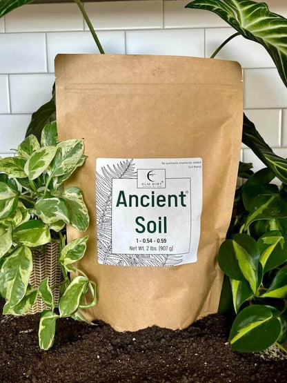 Ancient Soil Organic Living Soil
