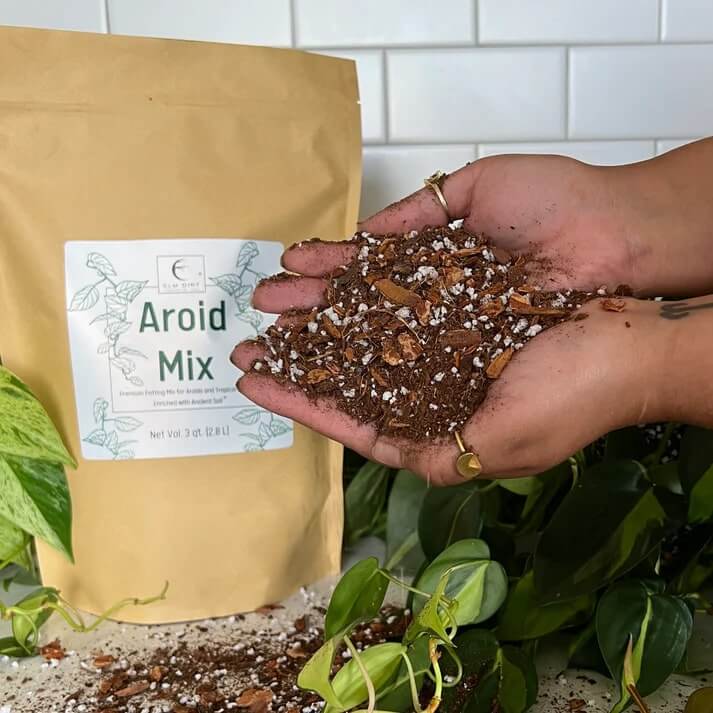 Premium Aroid Mix For Tropical Plants