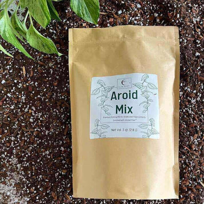 Premium Aroid Mix For Tropical Plants