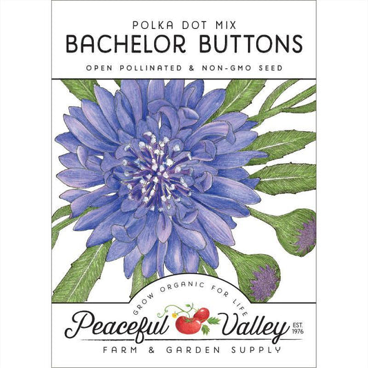 Bachelor Buttons Seed Pack
