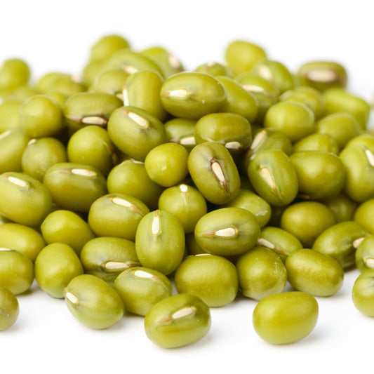 Bean Seeds - Bush - Mung Bean