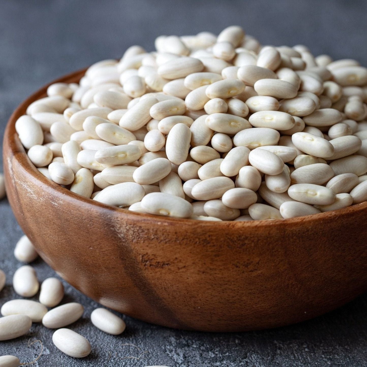 Bean Seeds - Bush - Navy