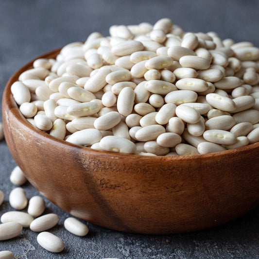 Bean Seeds - Bush - Navy