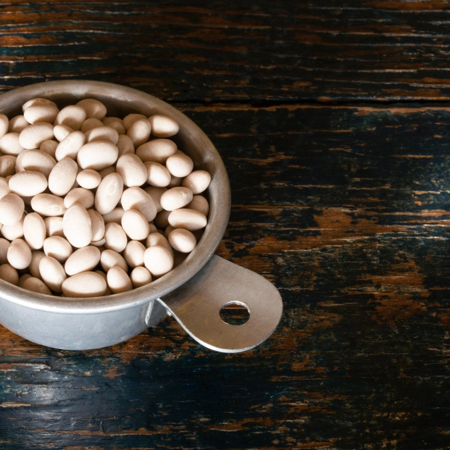 Bean Seeds - Bush - Navy