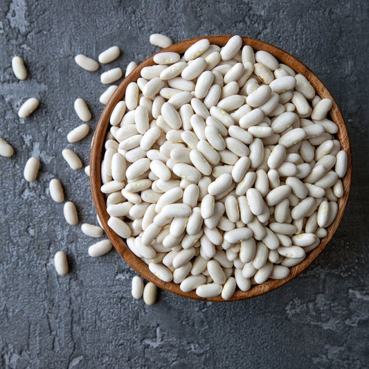 Bean Seeds - Bush - Tuscan Cannellini