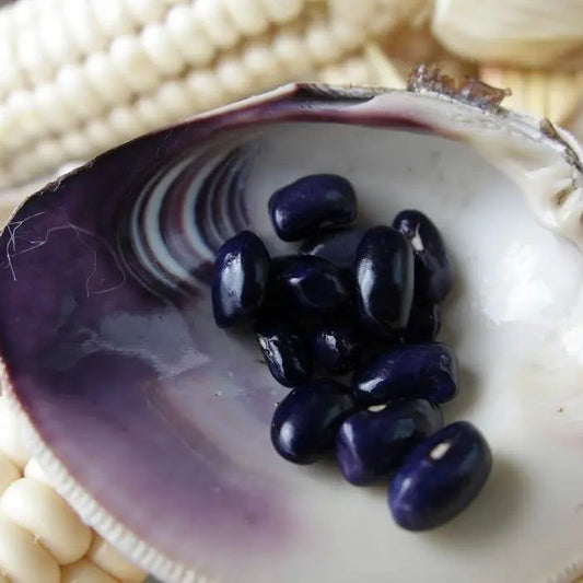 Bean Seeds - Pole - Cherokee Trail of Tears Beans