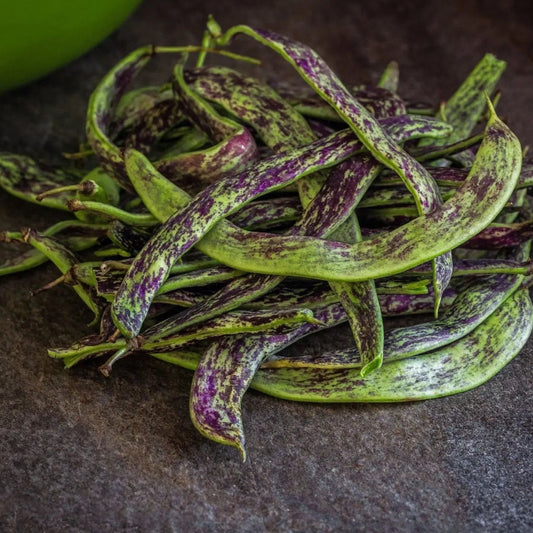 Bean Seeds - Bush - Dragon’s Tongue Bean
