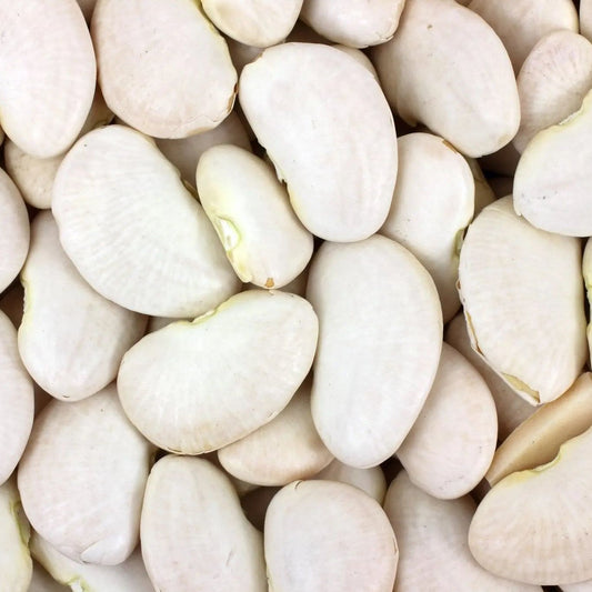 Bean Seeds - Bush - Lima - Fordhook 242