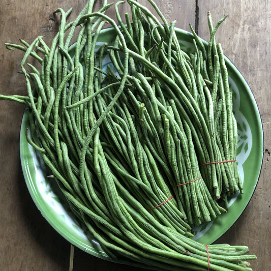 Bean Seeds - Pole - Yard Long - Taiwan