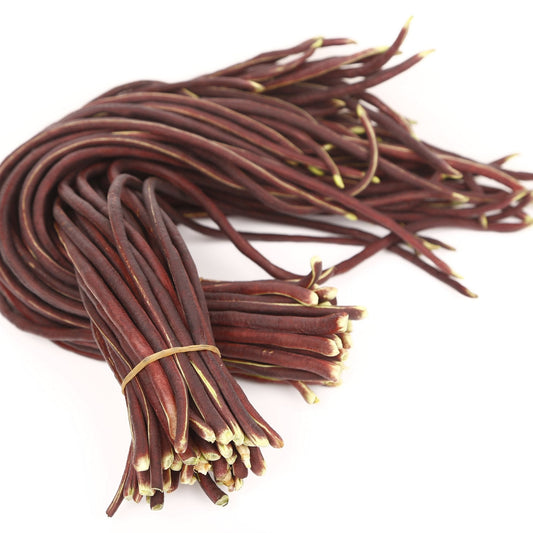 Beans Seeds - Pole - Yard Long - Ruby Silk Ribbon