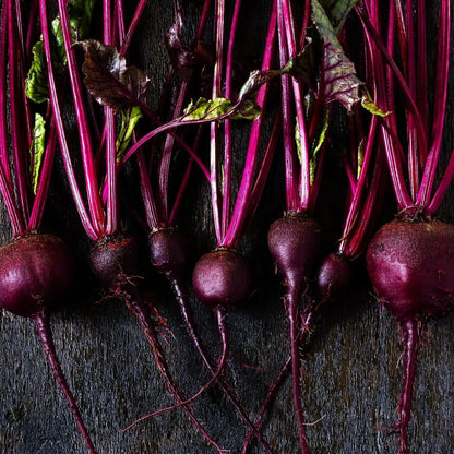Beet Seeds - Bull's Blood
