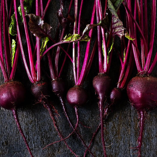 Beet Seeds - Bull's Blood