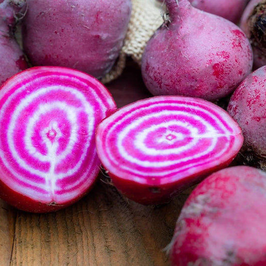 Beet Seeds - Chioggia Beet