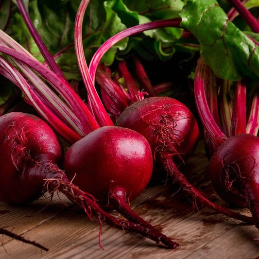 Beet Seeds - Detroit Dark Red Beet