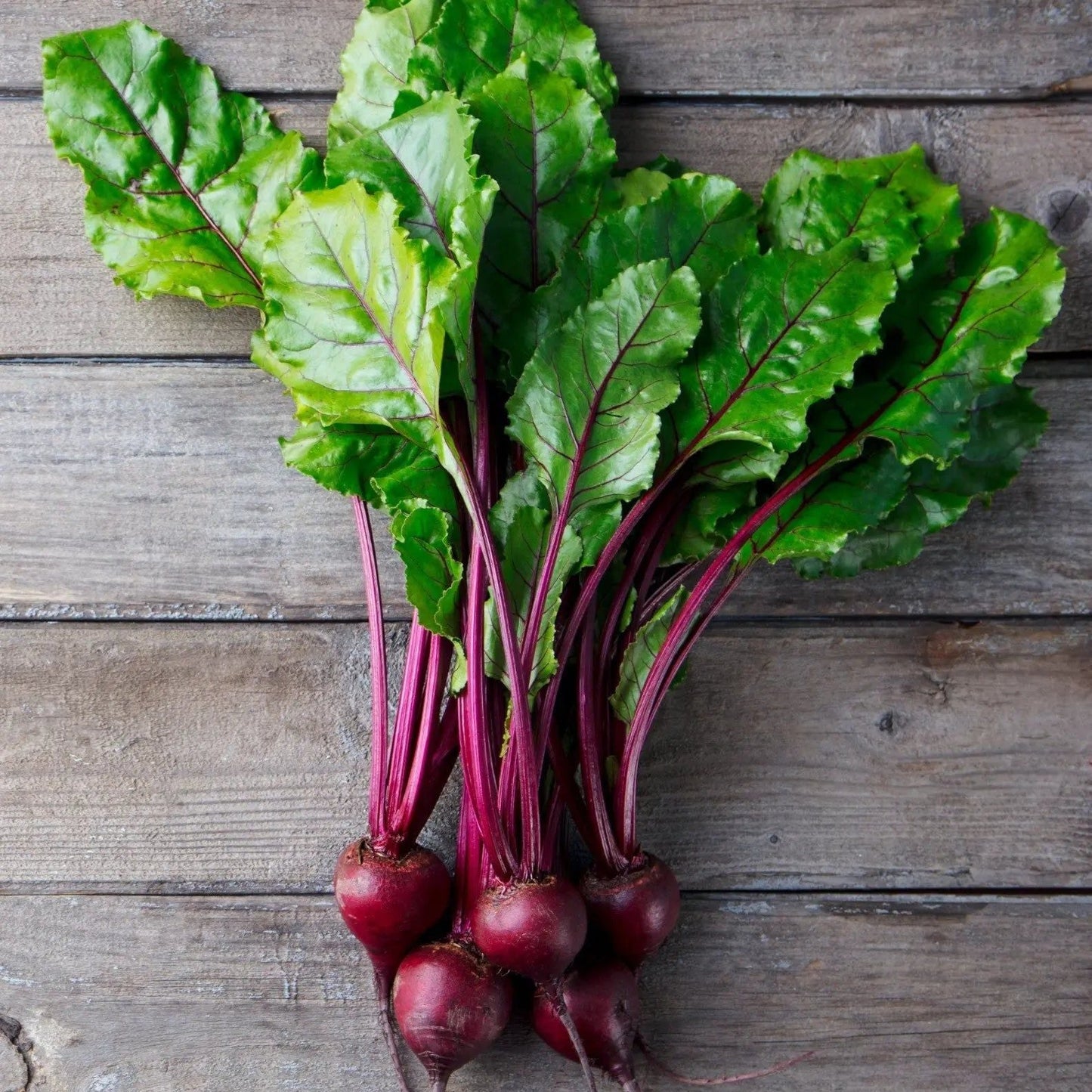 Beet Seeds - Early Wonder Tall Top