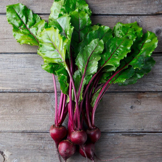 Beet Seeds - Early Wonder Tall Top