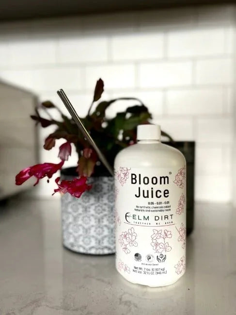 Bloom Juice Award-Winning Formula