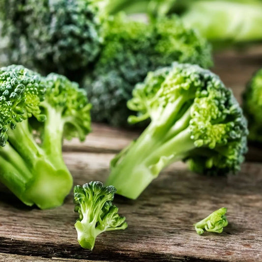Broccoli Seeds - Green Sprouting Calabrese Broccoli
