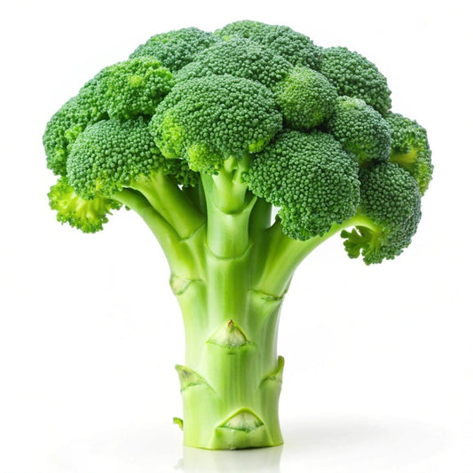 Broccoli Seeds - Green Sprouting Calabrese Broccoli