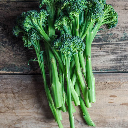 Broccoli Seeds - Rabe Natalina Di Fasano Cima Grande