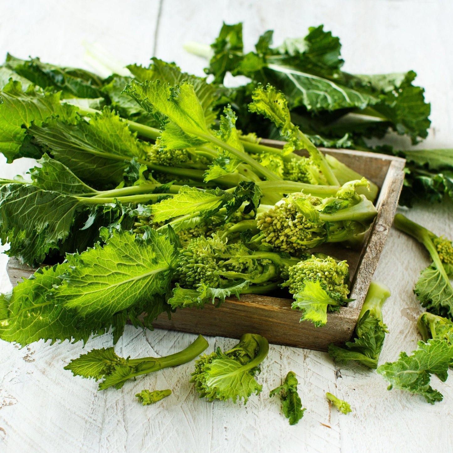 Broccoli Seeds - Rabe Spring Rapini
