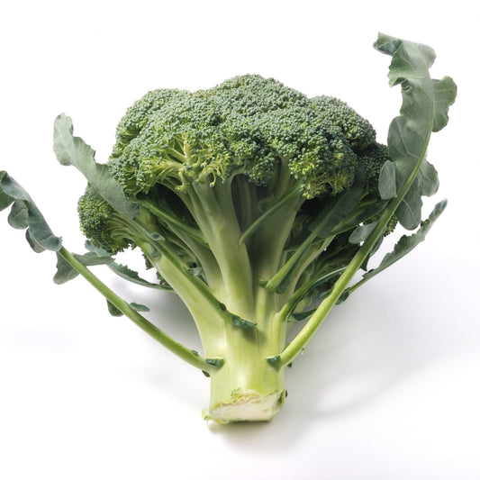 Broccoli Seeds - Waltham 29