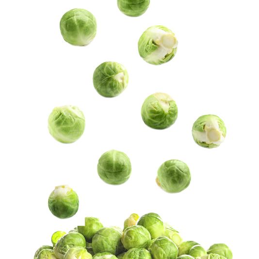 Brussels Sprout Seeds - Catskill