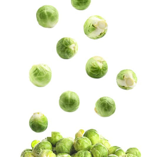 Brussels Sprout Seeds - Catskill