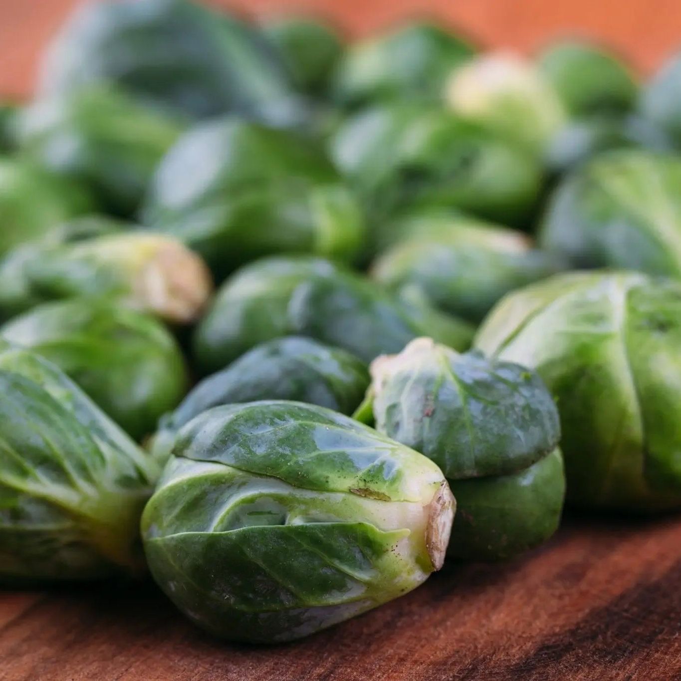 Brussels Sprout Seeds - Long Island Improved Brussels Sprouts