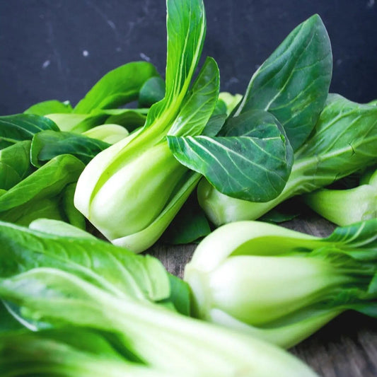 Cabbage Seeds - Bok Choy White Stemmed