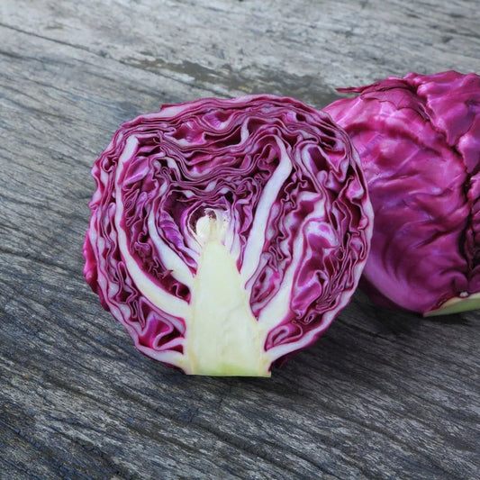 Cabbage Seeds - Red Acre Cabbage