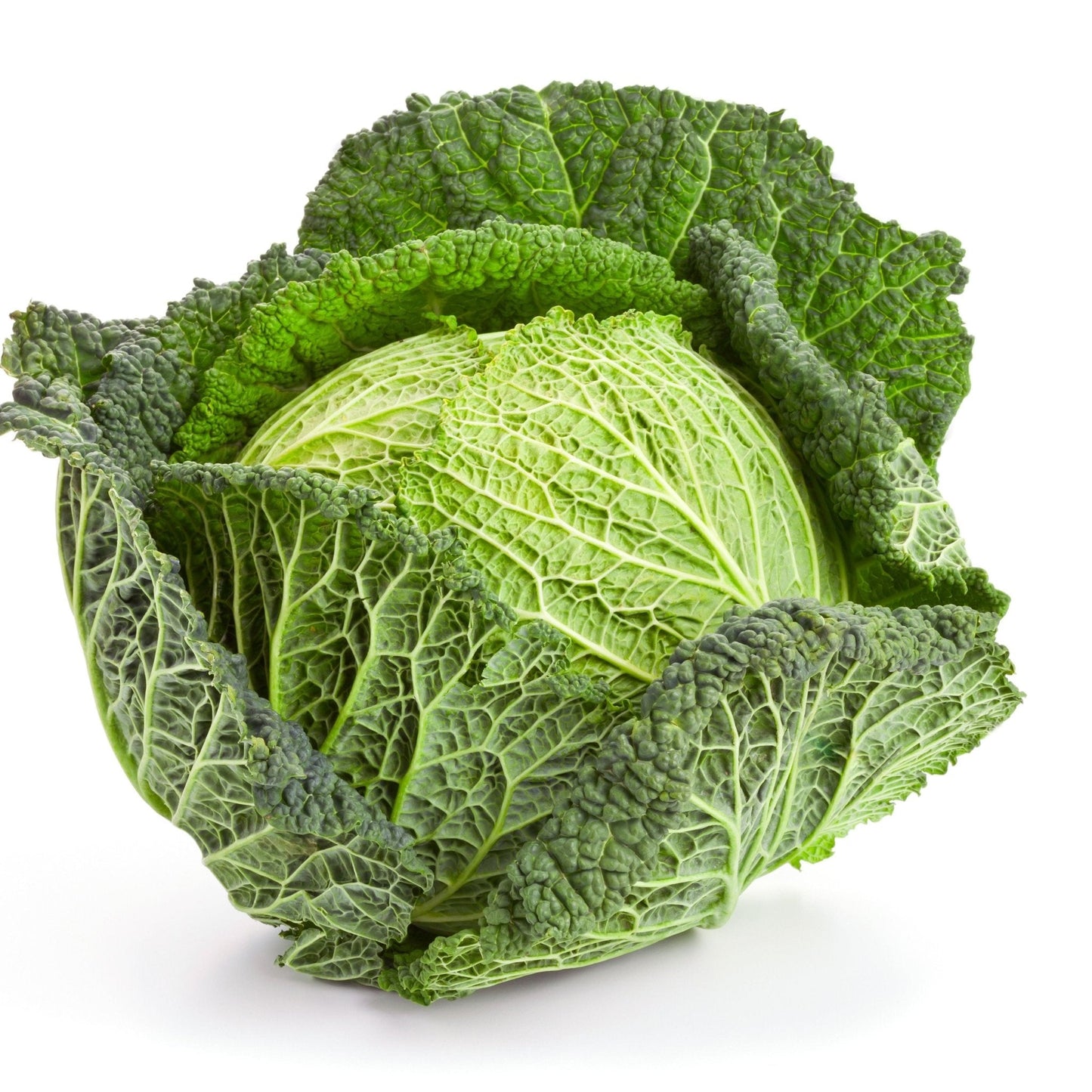 Cabbage Seeds - Savoy Perfection